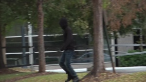 The Disguise - pound