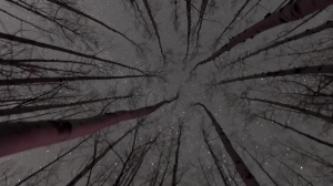 Stranded - Damien Stone, Jack Hunter butthole sex