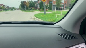 Pranksters - Dante Colle & Kit Cohen ass pound