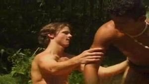 Boyz Party: Feverish Forest Frolics